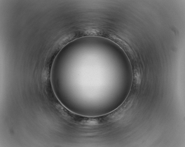 X0000112900665200908211518