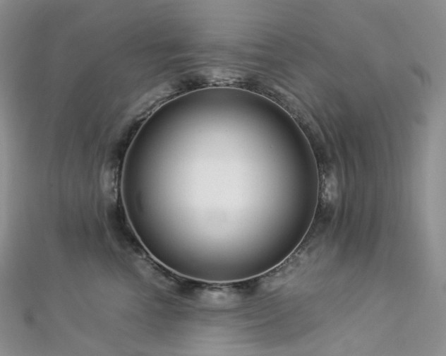 X0000112900666200908211518