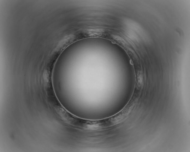 X0000112900667200908211518