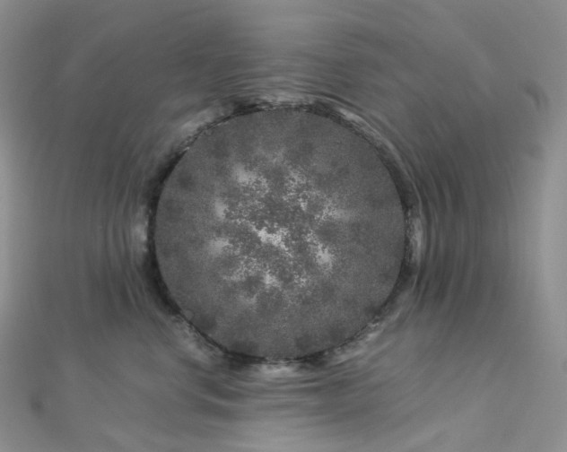 X0000112900668200908211518