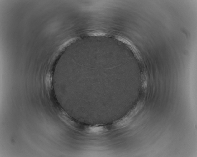 X0000112900669200908211518