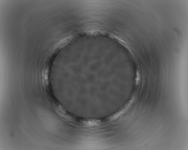 X0000112900670200908211518