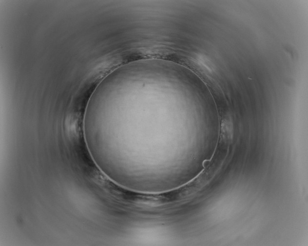 X0000112900671200908211518