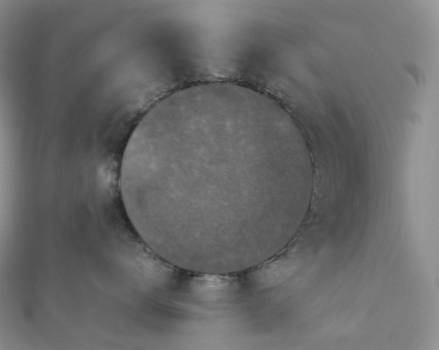 X0000112900672200908211518