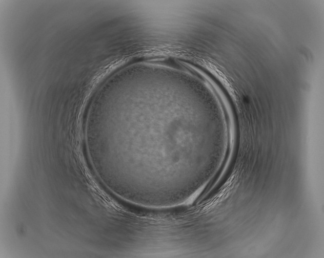X0000112900673200908211517