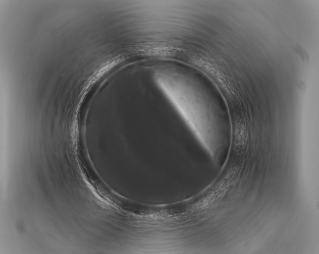 X0000112900674200908211517