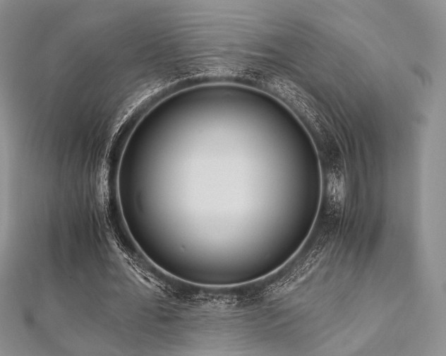 X0000112900676200908211517