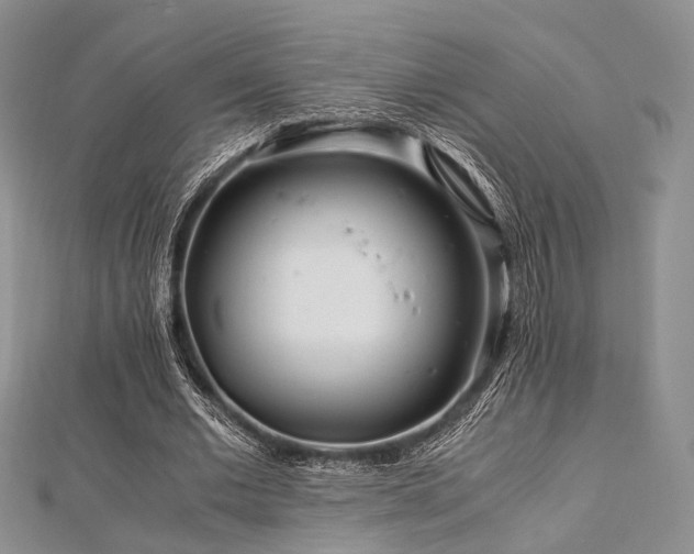 X0000112900677200908211517