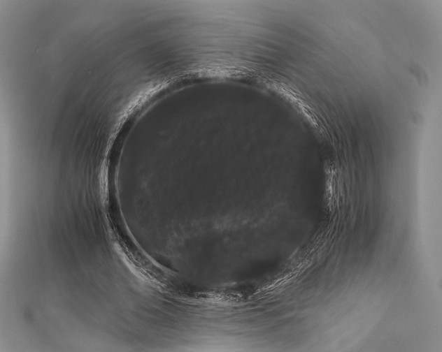X0000112900678200908211517