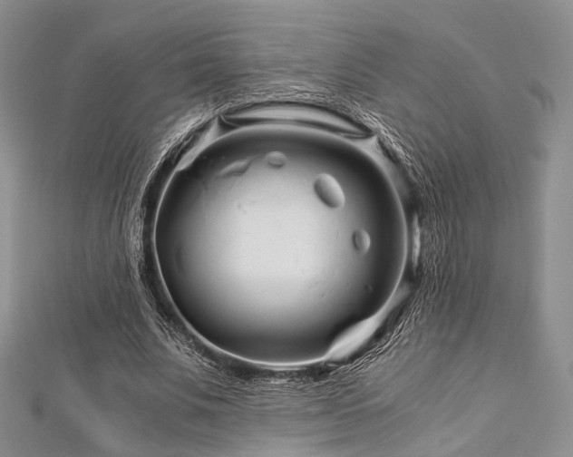 X0000112900679200908211517