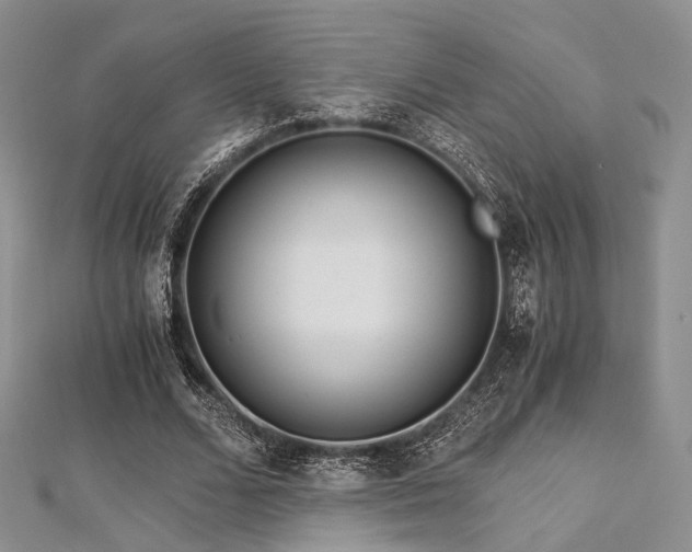 X0000112900680200908211517