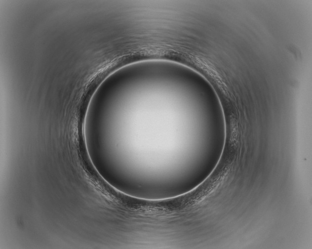 X0000112900681200908211517