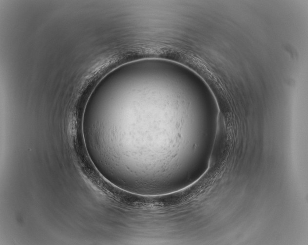 X0000112900683200908211517