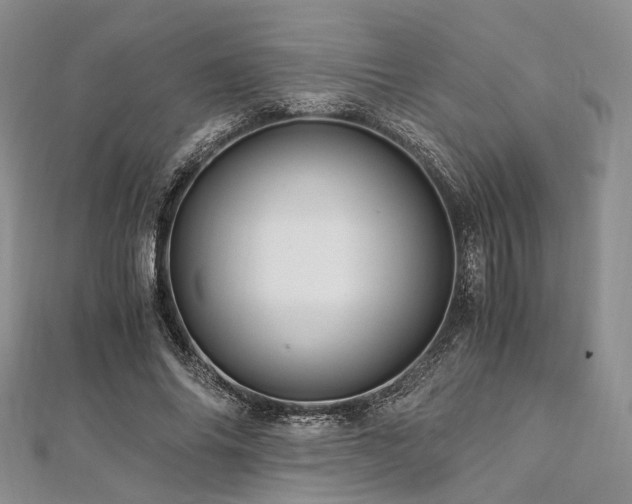 X0000112900686200908211517