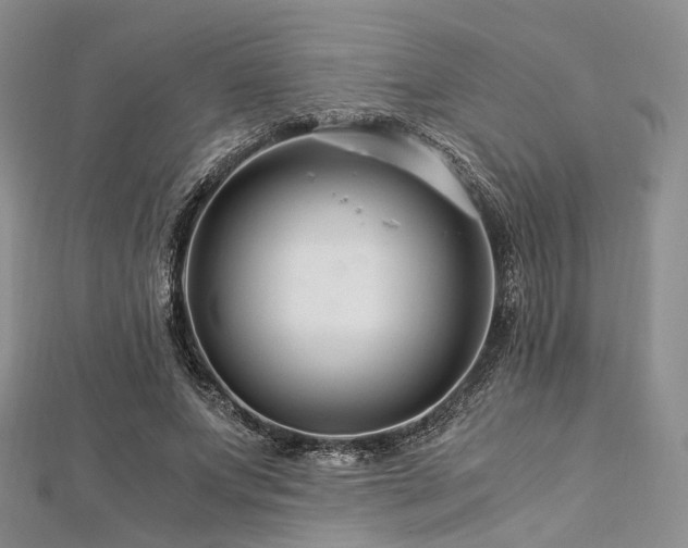 X0000112900687200908211517