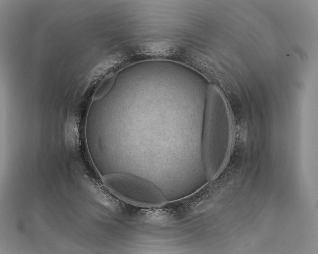 X0000112900688200908211517