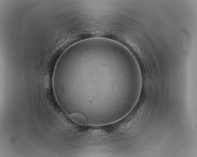X0000112900689200908211517