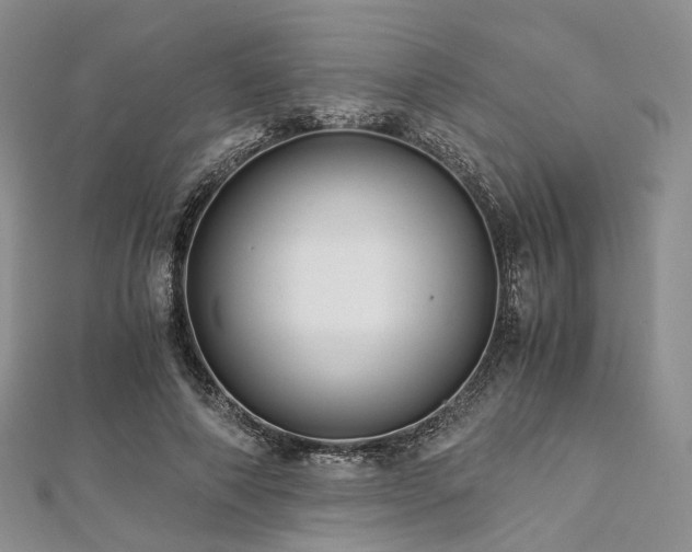 X0000112900690200908211517