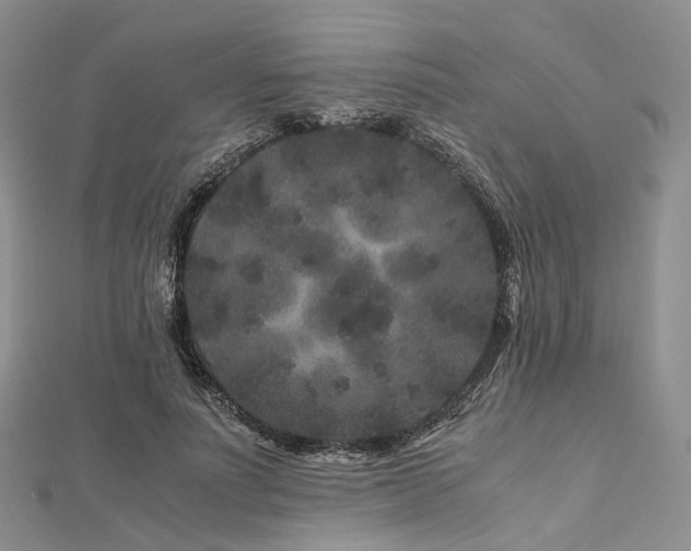 X0000112900691200908211517