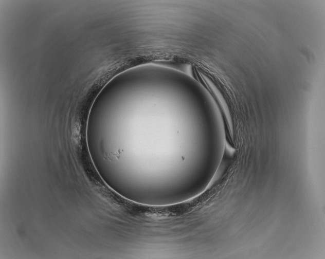 X0000112900693200908211517