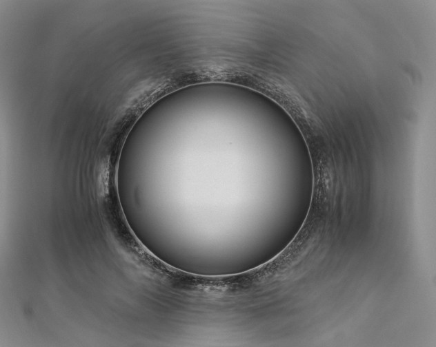 X0000112900694200908211517