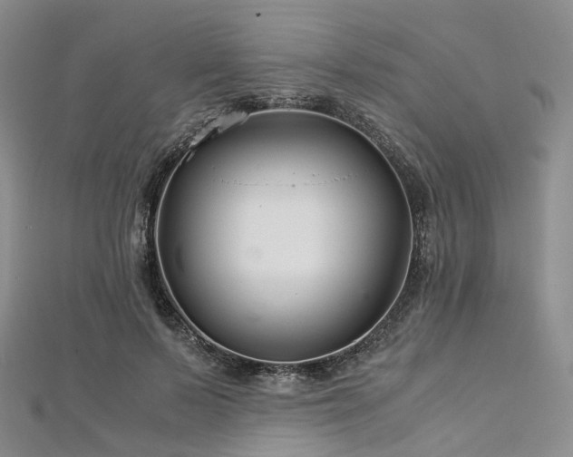 X0000112900695200908211517