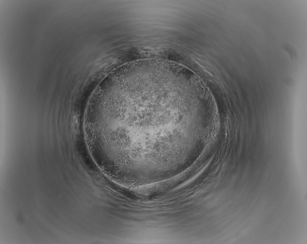 X0000112900699200908211517