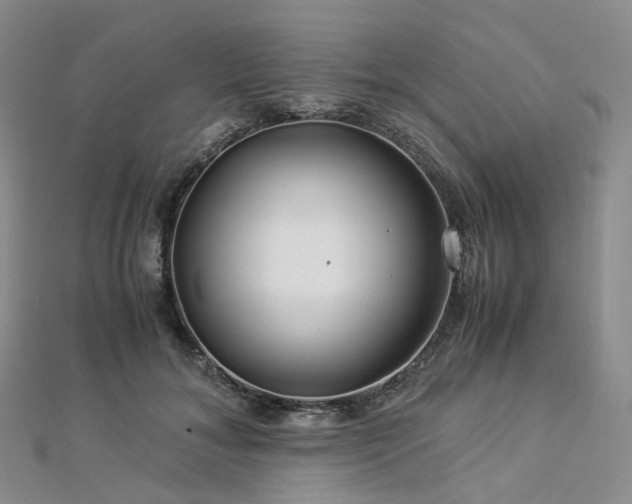 X0000112900700200908211517