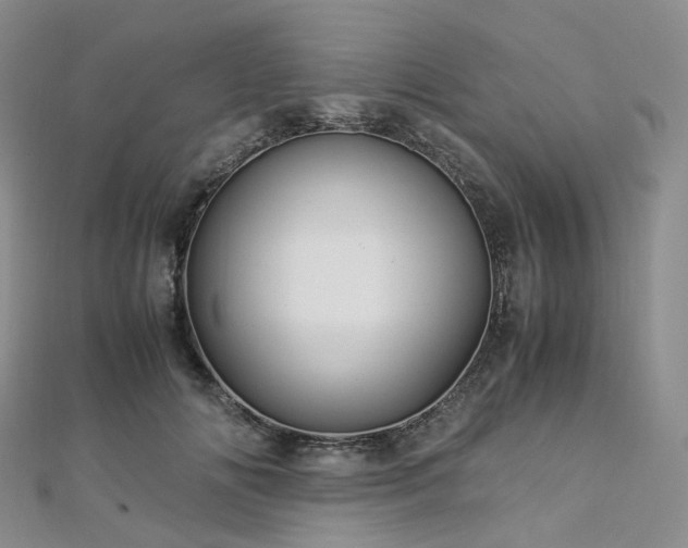 X0000112900702200908211517