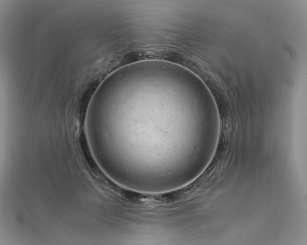 X0000112900703200908211517