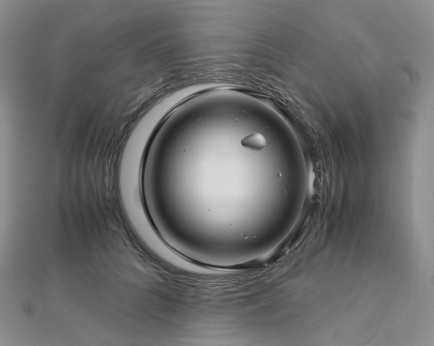 X0000112900704200908211517