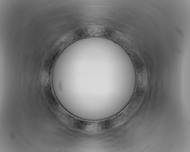 X0000112900705200908211517
