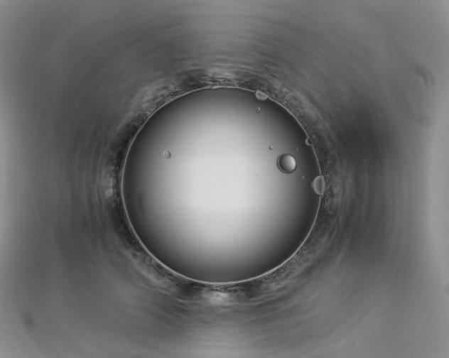 X0000112900706200908211517