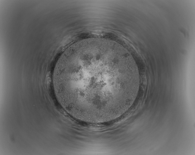 X0000112900707200908211517