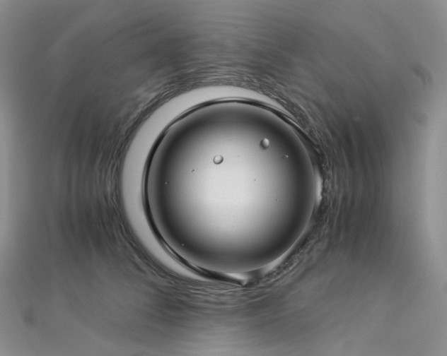 X0000112900708200908211517