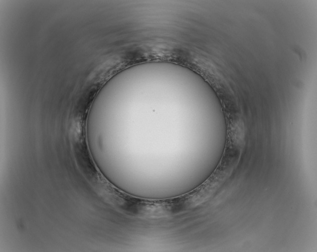 X0000112900709200908211517