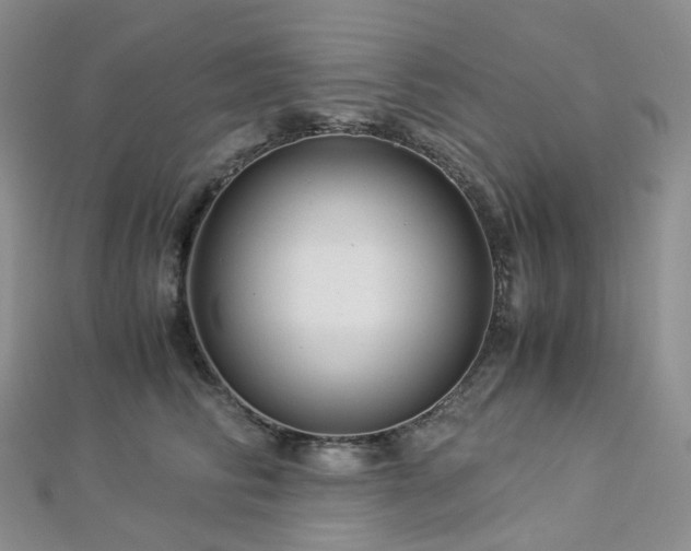 X0000112900710200908211517