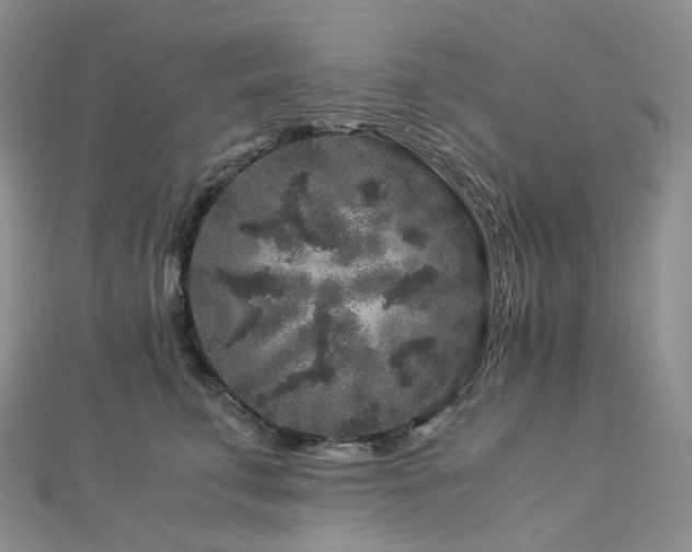 X0000112900711200908211517