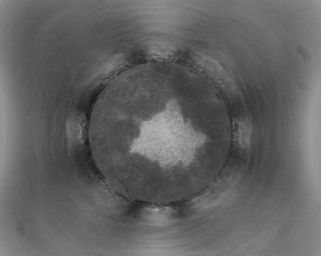 X0000112900712200908211516