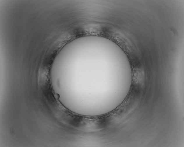 X0000112900713200908211516