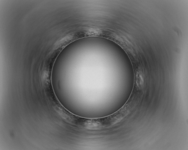 X0000112900714200908211516