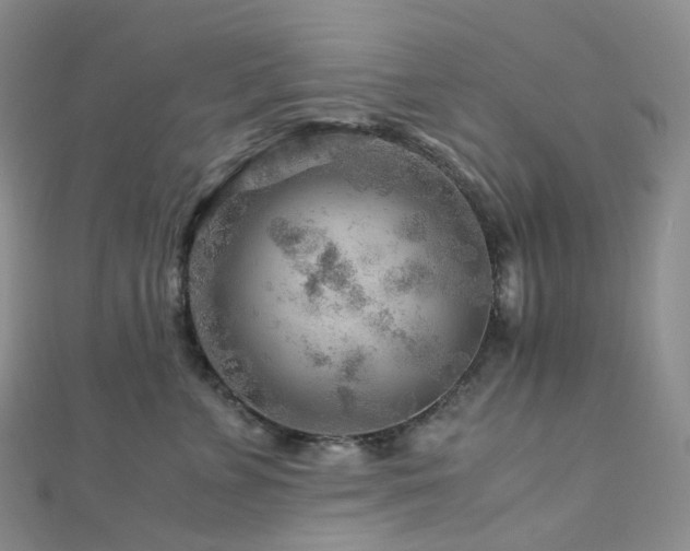 X0000112900715200908211516