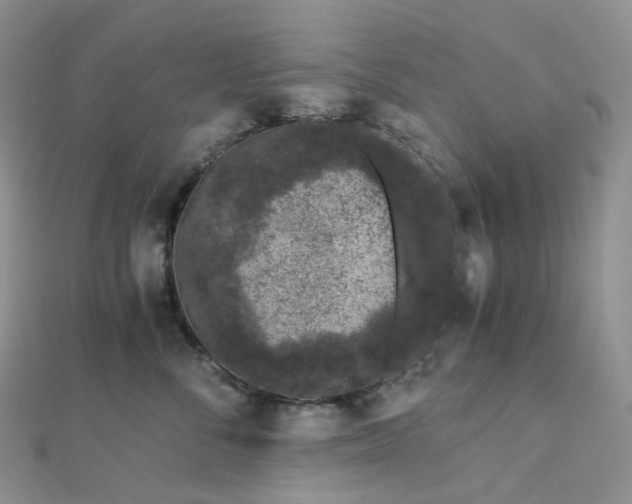 X0000112900716200908211516