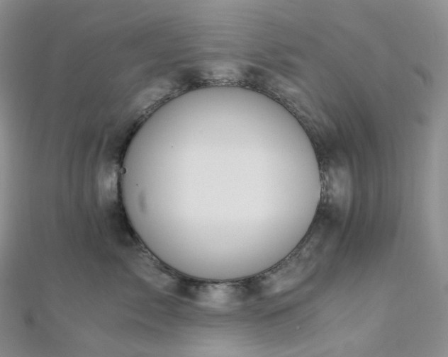 X0000112900717200908211516