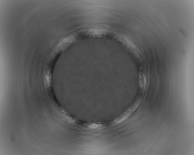 X0000112900718200908211516