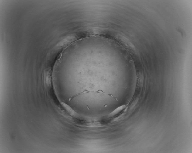 X0000112900719200908211516