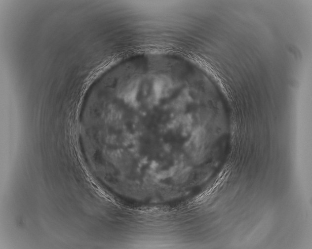 X0000112900721200908211516