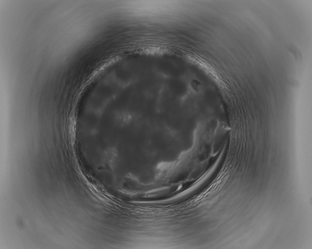 X0000112900722200908211516