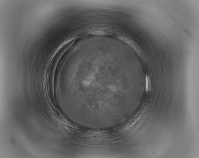 X0000112900723200908211516