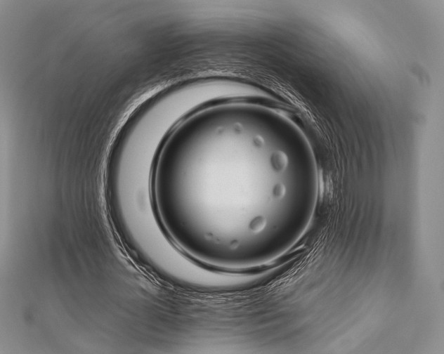 X0000112900724200908211516